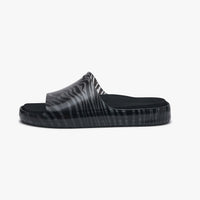Black Zebra