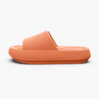 Dusty Orange